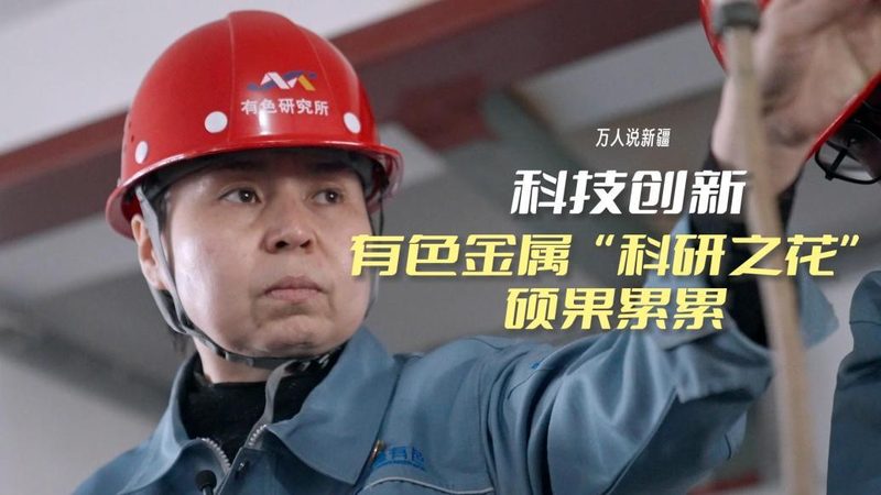 人工智能应用趋势：批发价格背后的价值考量